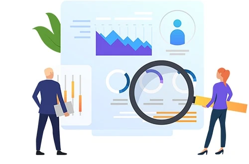 Website Design & Development